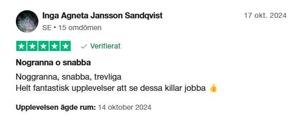 Skärmbild 2025-03-23 150754