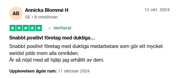 Skärmbild 2025-03-23 150803